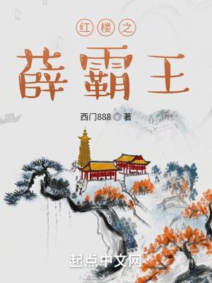 红楼之薛霸王 笔趣趣
