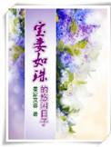 宝妻的哪部好看