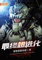 最终超进化 聚合中文网