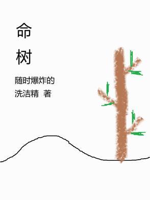 胡歌杨紫生命树