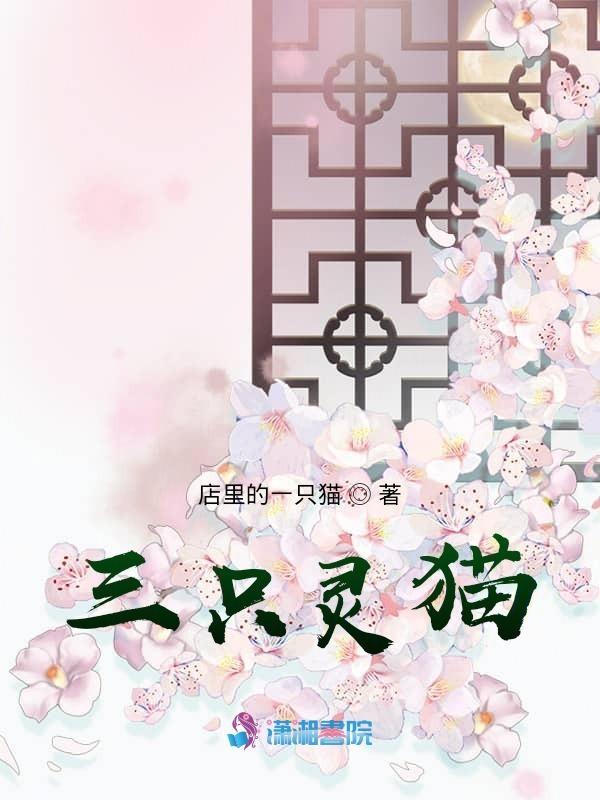 三只猫寓意