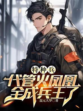 特种兵女友叶寸心的