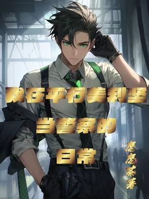 美式警察怎么说