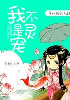 我不是精灵在线阅读