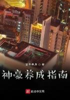 橙光神豪养成计划金手指