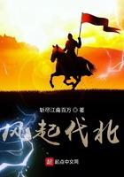 风起代北txt