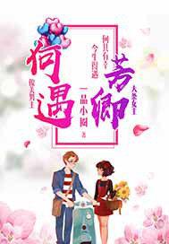 何遇免费阅读